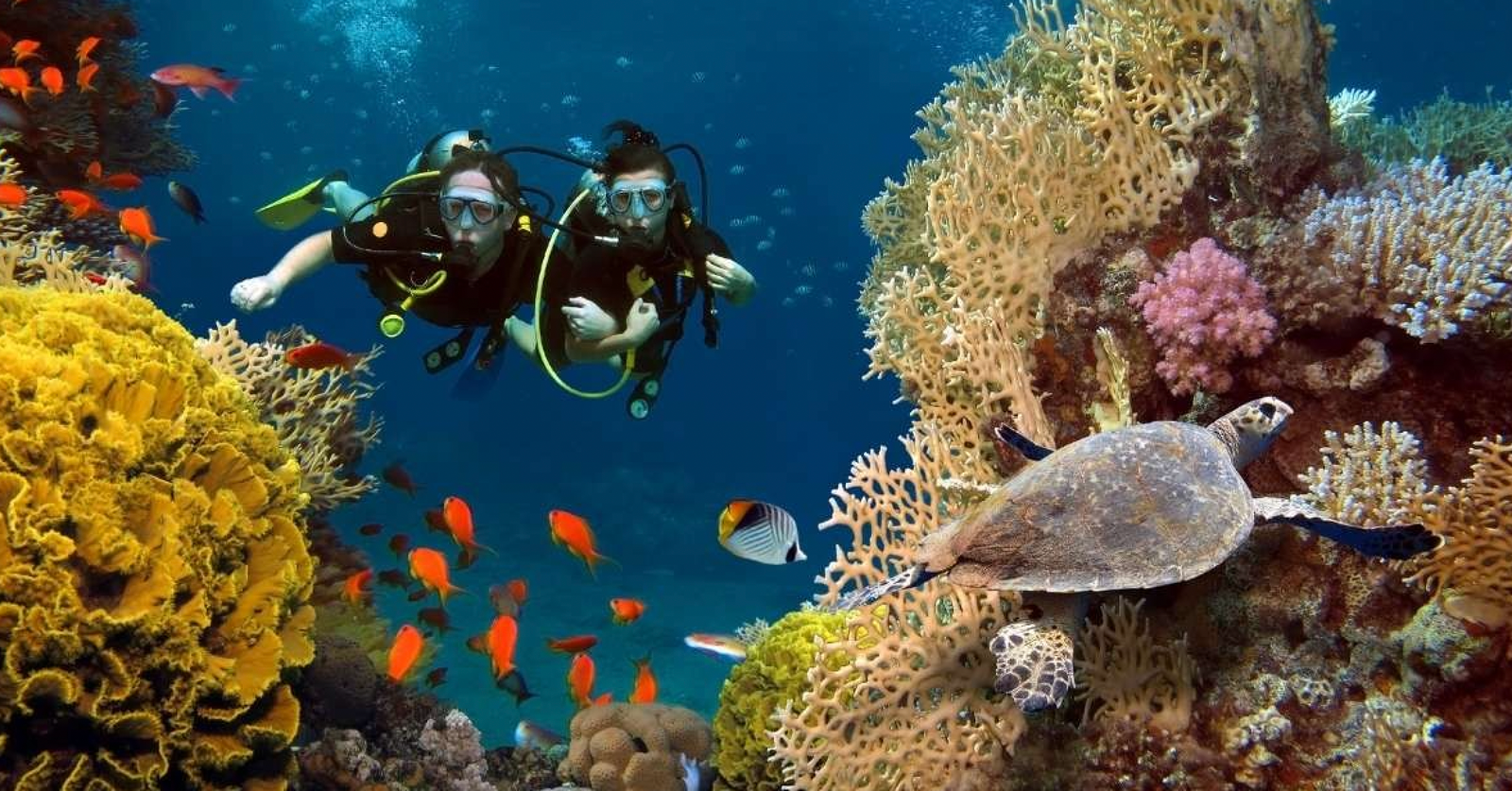 Scuba Diving