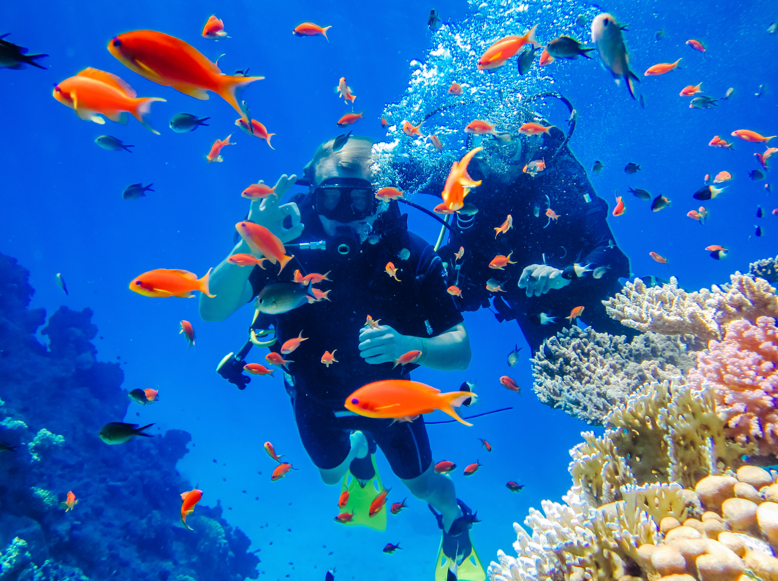 Scuba Diving