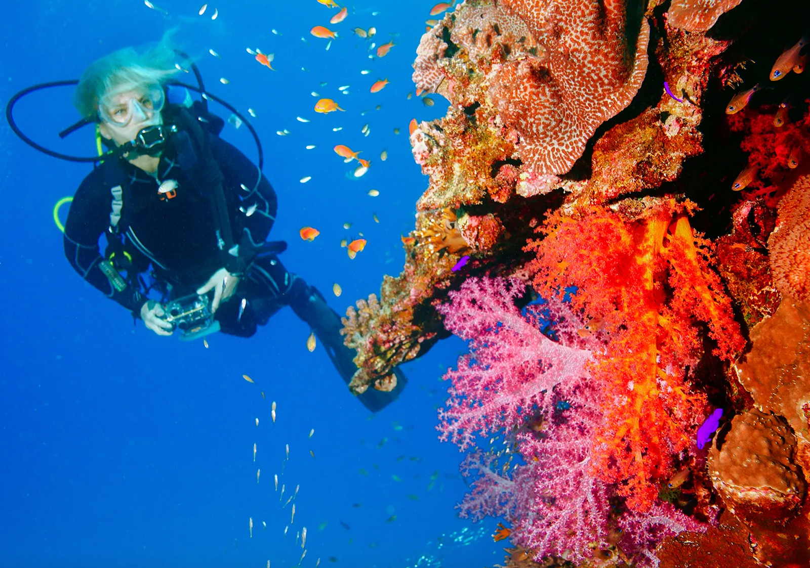 Scuba Diving