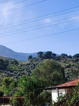 ciglic mv02lR9MJ1CaQzwE.jpg