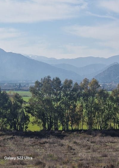 whatsapp image 2025 01 09 at 18.34.25 54f2a77b d957rJWrQqukM2Ky.jpg