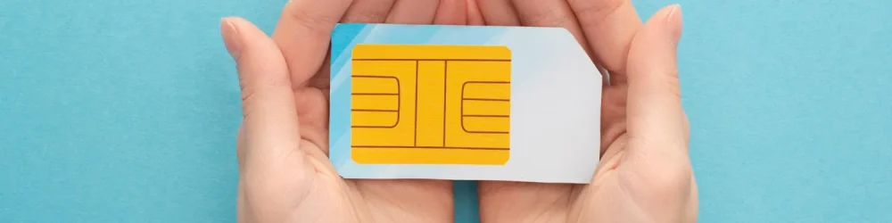 E-sim